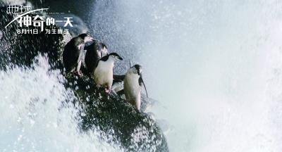 地球：神奇的一天剧照的剧照