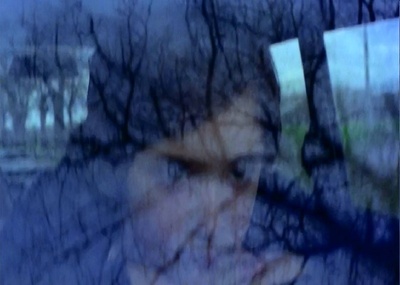 饲养乌鸦剧照的剧照