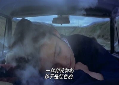 饲养乌鸦剧照的剧照