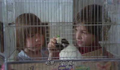 饲养乌鸦剧照的剧照