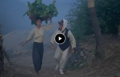 桑叶剧照的剧照