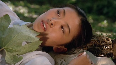 桑叶剧照的剧照