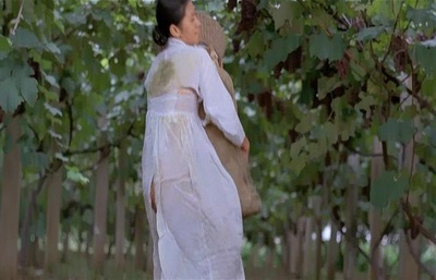 桑叶剧照的剧照