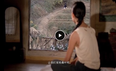 桑叶剧照的剧照