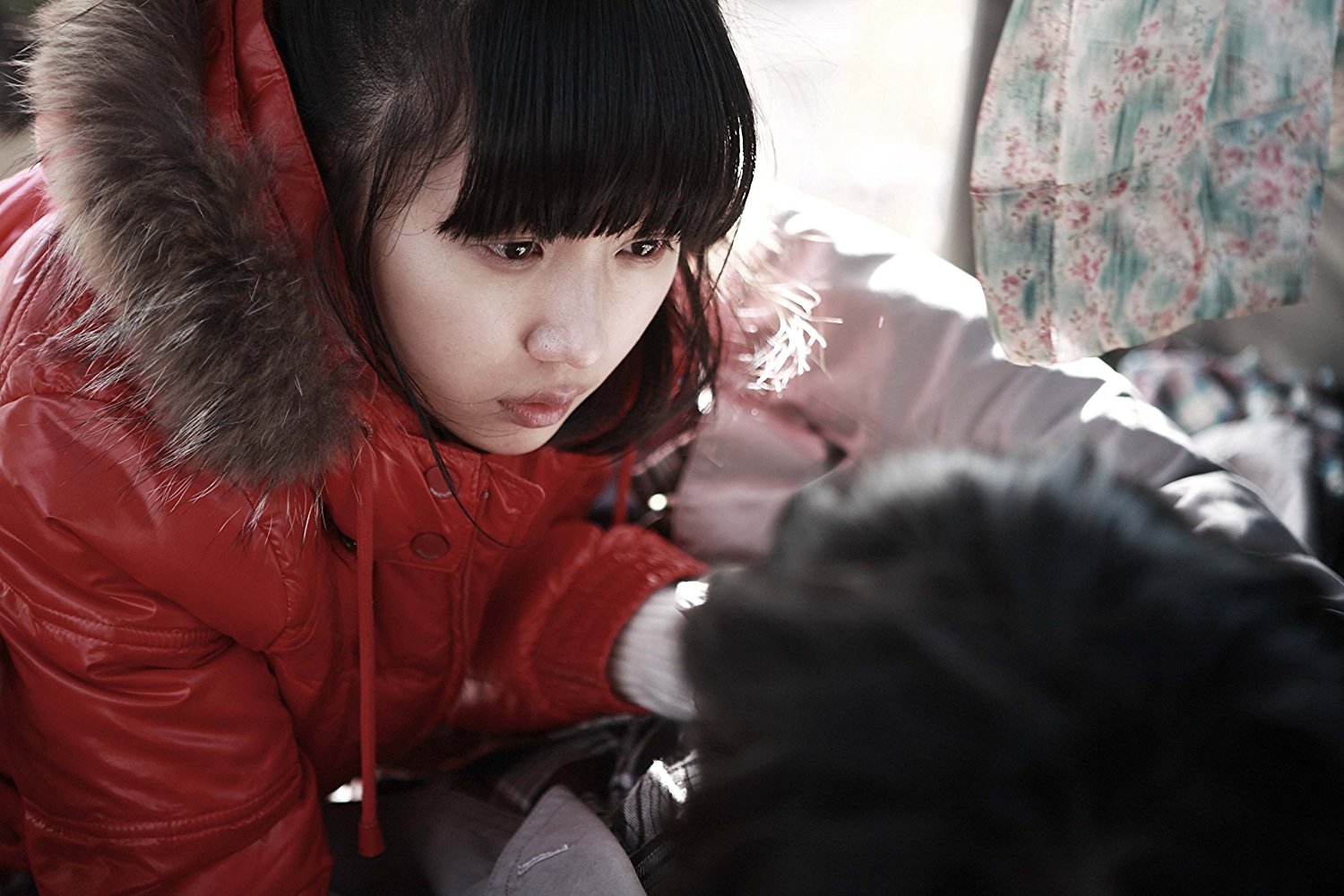 陷阱：致命的诱惑剧照的剧照