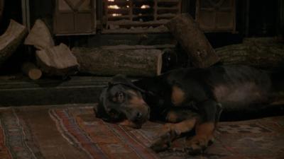 毫无线索剧照的剧照