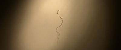 临时同居剧照的剧照