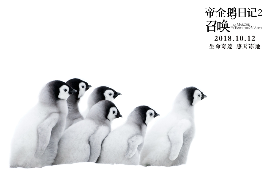 帝企鹅日记2：召唤剧照的剧照