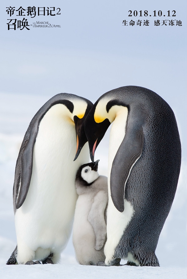 帝企鹅日记2：召唤剧照的剧照