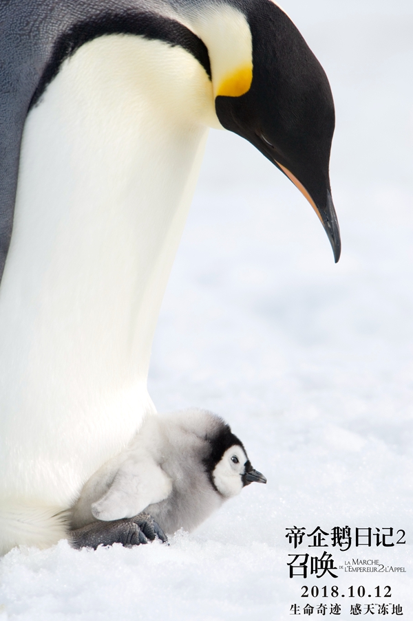 帝企鹅日记2：召唤剧照的剧照