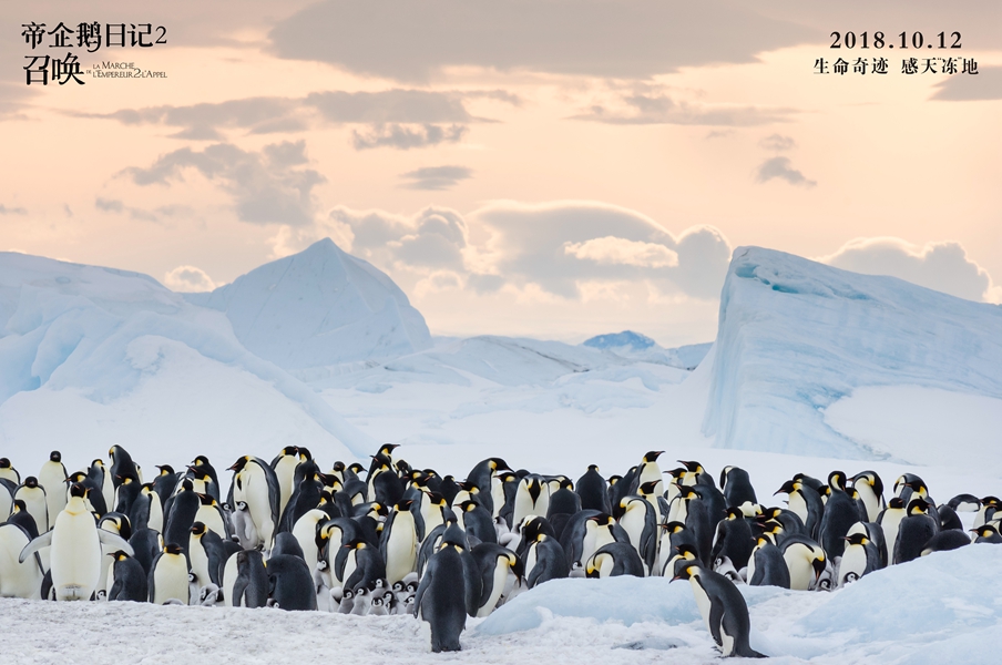帝企鹅日记2：召唤剧照的剧照