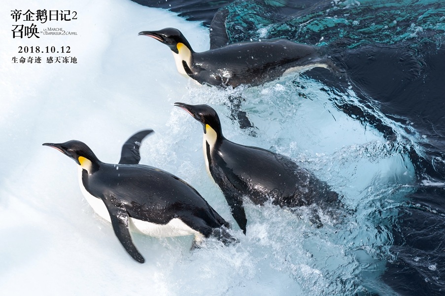 帝企鹅日记2：召唤剧照的剧照