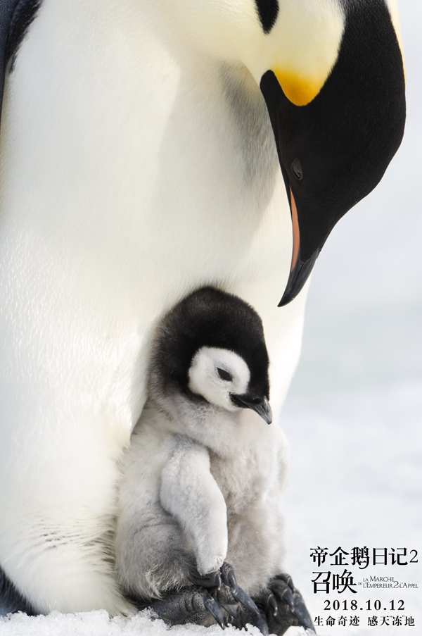 帝企鹅日记2：召唤剧照的剧照