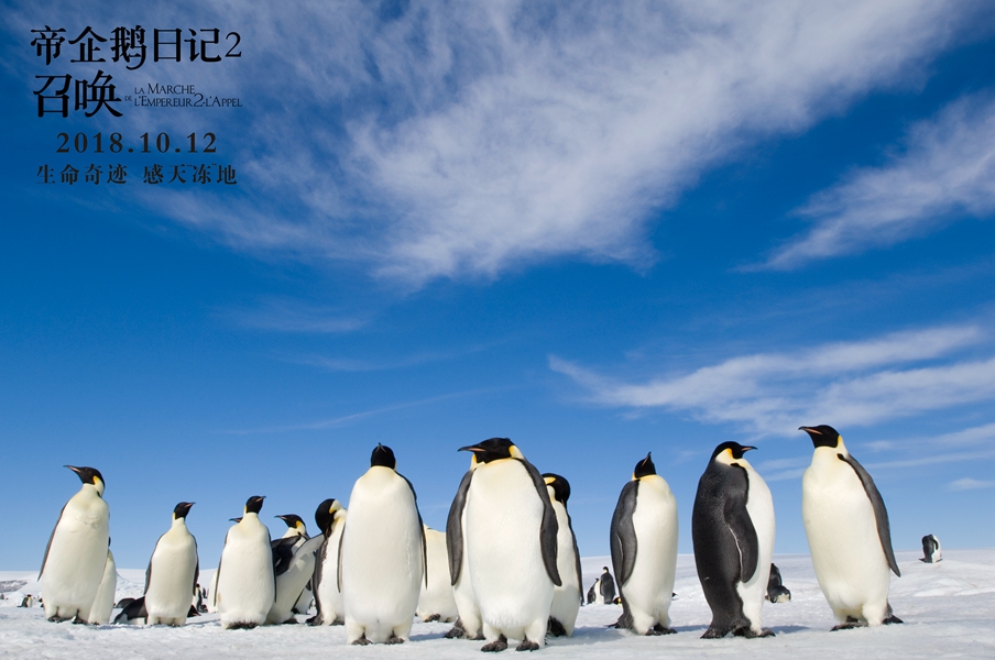 帝企鹅日记2：召唤剧照的剧照