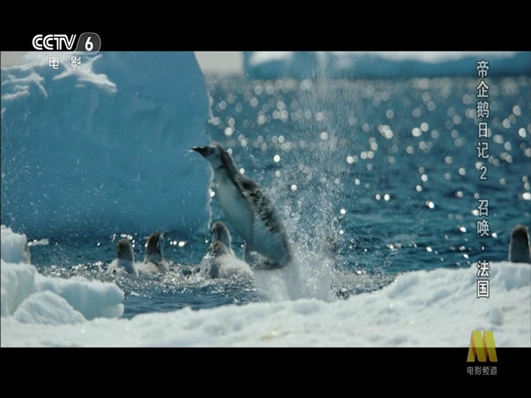 帝企鹅日记2：召唤剧照的剧照