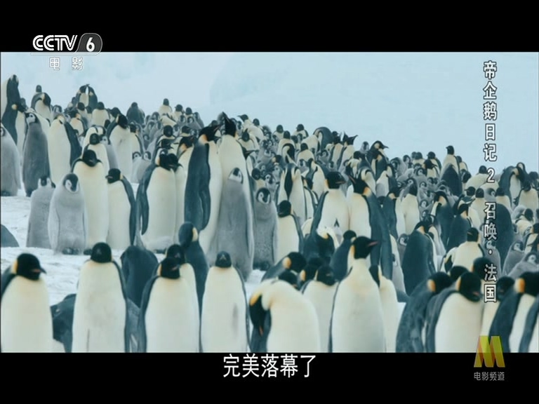 帝企鹅日记2：召唤剧照的剧照