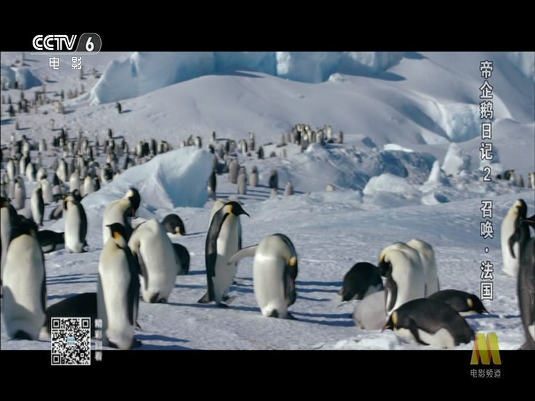 帝企鹅日记2：召唤剧照的剧照