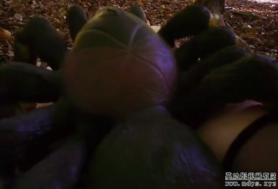 鸡巴鲨鱼剧照的剧照