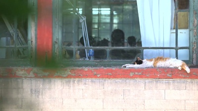 我在故宫修文物剧照的剧照