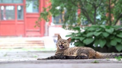 我在故宫修文物剧照的剧照