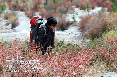 寻找罗麦剧照的剧照