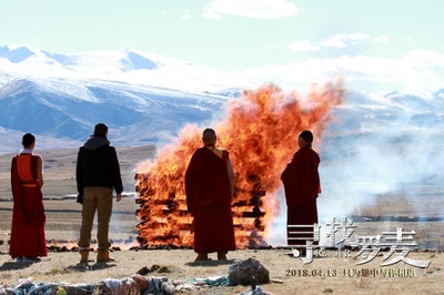 寻找罗麦剧照的剧照