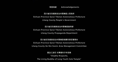 寻找罗麦剧照的剧照