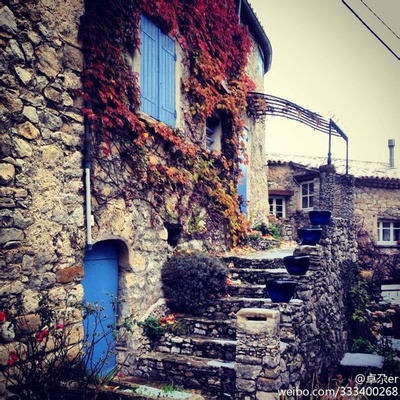 寻找罗麦剧照的剧照