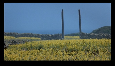 无言的山丘剧照的剧照