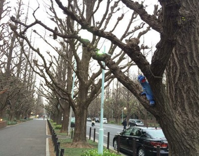 永远永远爱你剧照的剧照