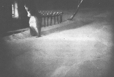 浮士德剧照的剧照