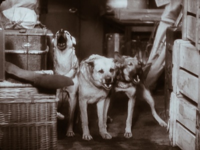 三十九级台阶剧照的剧照