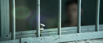 暴疯语剧照的剧照