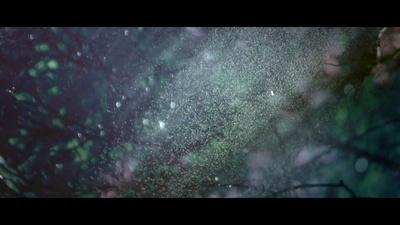 他们在岛屿写作：姹紫嫣红开遍剧照的剧照