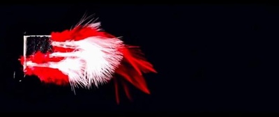 副总统剧照的剧照