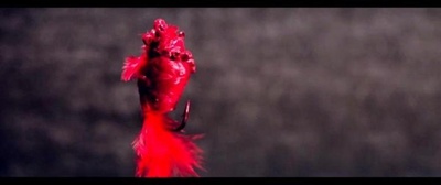 副总统剧照的剧照