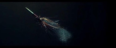 副总统剧照的剧照