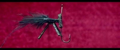 副总统剧照的剧照