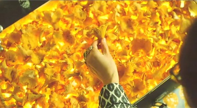 海鸥食堂剧照的剧照