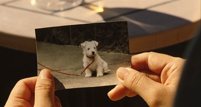 海鸥食堂剧照的剧照