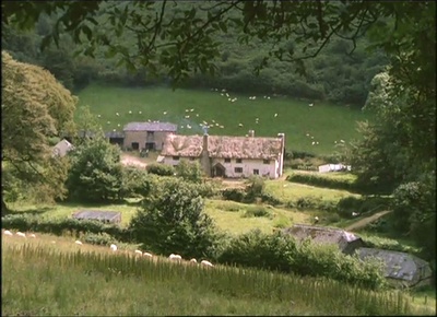 仲夏之恋剧照的剧照