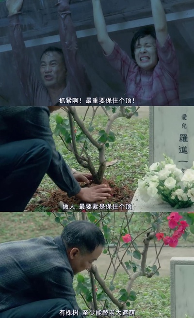 岁月神偷剧照的剧照