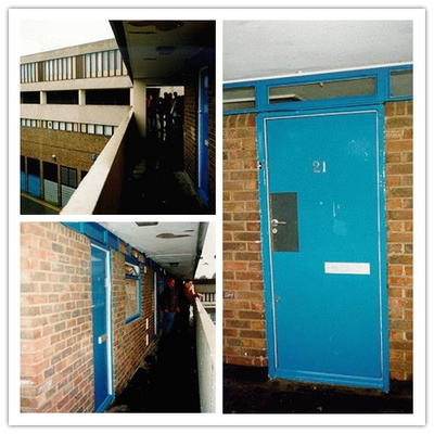 愈爱愈美丽剧照的剧照