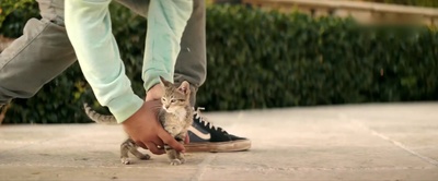 基努猫剧照的剧照