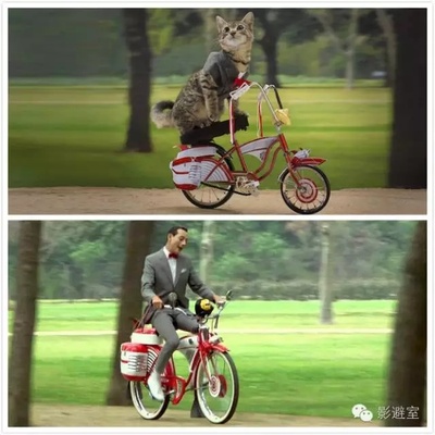 基努猫剧照的剧照