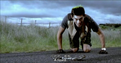 寻找1967的女神剧照的剧照