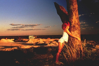 寻找1967的女神剧照的剧照