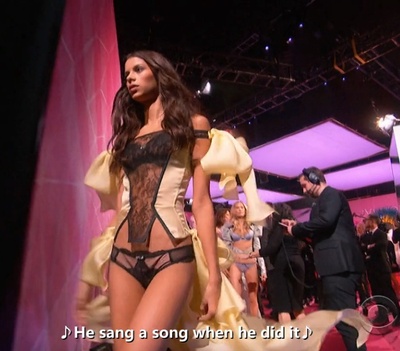 维多利亚的秘密2015时装秀剧照的剧照