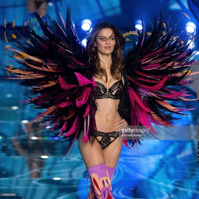 维多利亚的秘密2015时装秀剧照的剧照