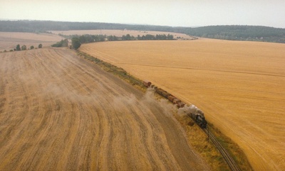 青青校树剧照的剧照